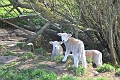 13 04 14_2979_edited-1